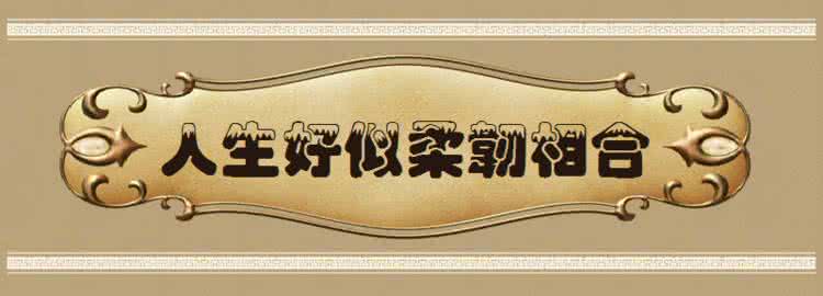 宋茜柔韧性舞蹈合集 人生好似柔韧相合
