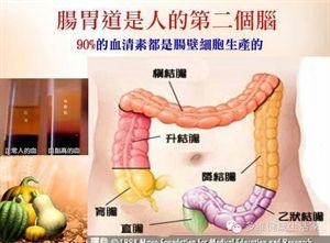 肝胆肠排毒 喉管癌 肝胆肠排毒与精神疾患的前世今生_喉管癌