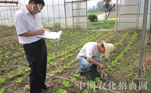 绿萝施肥需施什么肥料 中国古代肥料和施肥