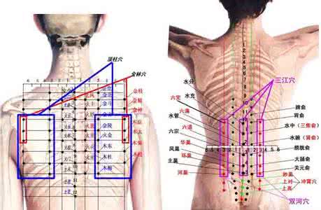 董氏针灸 董氏针灸彩色穴位图最全收集(董氏奇穴)-董氏针灸穴位图