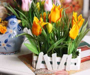 平安金鸡纳福大吉大利 家里放这些植物大吉大利、平安招财，你放了没有？