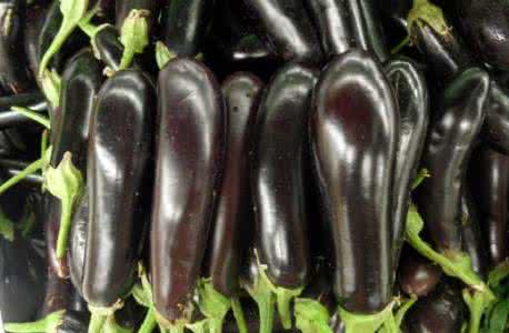 茄子秧的功效与作用 茄子杆治疗冻疮 茄子秧可治疗冻疮 盘点茄子的七大功效