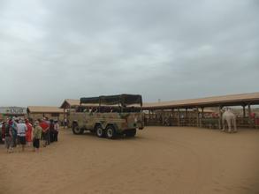 独特景观 景观独特--沙坡头 (绝品收藏）