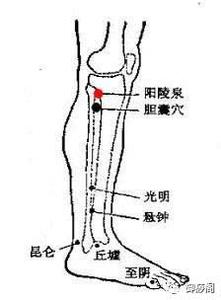心脑血管疾病 腰痛、心脑病方