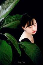 生长在历史中的青藤 五月,思念生长的一株青藤