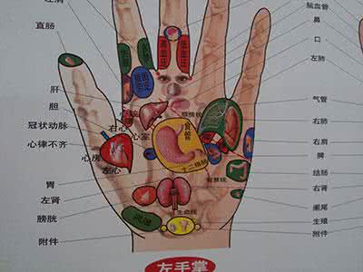 【中医诀窍】一张图教你《内部偷传：最新耳部反射区的特效疗法图！》让你身体健康！