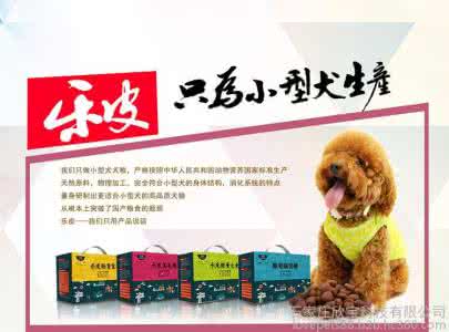 狗粮价格最便宜的40斤 狗粮介绍 狗粮价格介绍