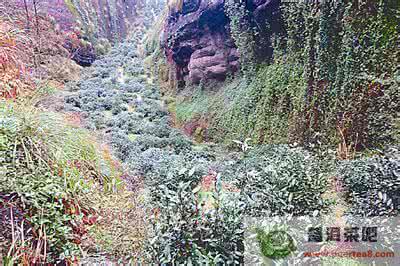 武夷山景区 初见武夷山某景所想