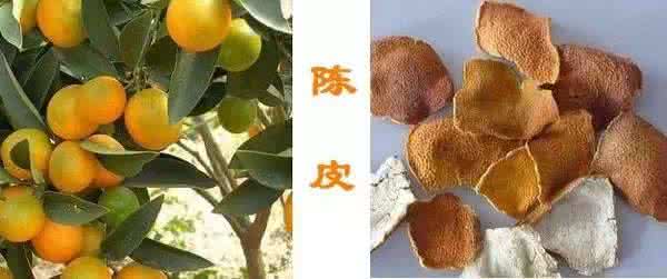 煲汤中药材 收藏丨终于有人说清楚了，原来各种煲汤中药材功效是这样的！