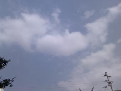 独自彷徨在悠长 岁月悠长，多少彷徨，独自赏