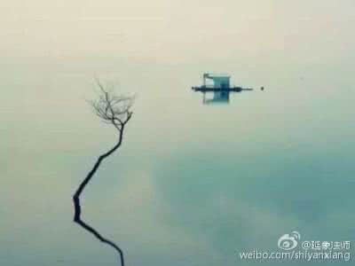 人生一世 草木一秋 人生一世 空了空了