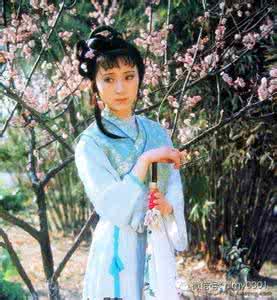 黛玉葬花 “黛玉葬花”是黛玉的一场真人秀吗?