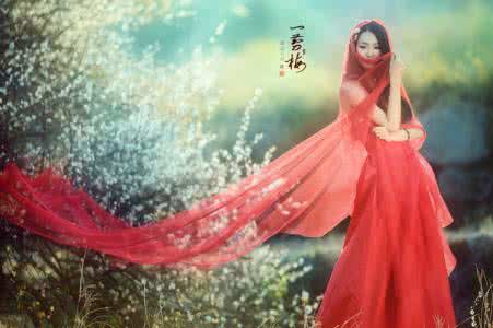 凝香心笺 一笺花语，墨染凝香