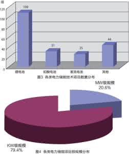 电力系统分析何仰赞 电力系统中无人机的运用及发展趋势