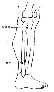 绝骨 转载 绝骨治疗肩膀重痛（转载）