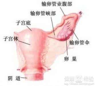 外阴肿胀用什么药 外阴肿胀 外阴肿胀的病因有哪些