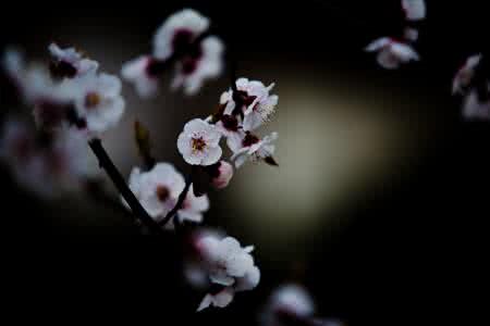 面朝大海春暖花开 尽管在冬天，这房子却有”春暖花开“的感觉