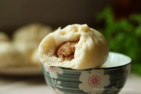 肉包子 馅会松软 多汁 ~肉包子~多汁、松软包子君的制作攻略