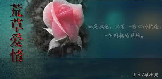 爱情晚安心语 晚安心语：爱情里，我们都是没有安全感的人，患得患失