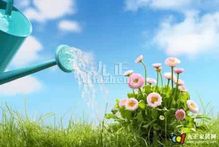 混泥土几个小时浇水好 花木浇水时需要注意的几个问题