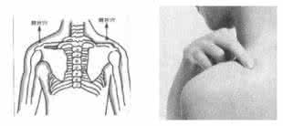 益阳补肾膏 身体三个地方最能补肾益阳