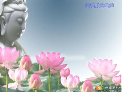 和善的眼神 和善对立的不是恶,而是伪善