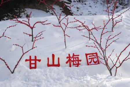 电影踏雪寻梅在线播放 踏雪寻梅激情时间 踏雪寻梅情
