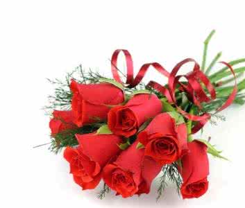 白玫瑰代表什么意思 十一朵玫瑰 【十一朵玫瑰代表什么意思】十一朵玫瑰表示什么