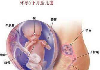 女人怀孕一周初期症状 怀孕初期有什么特征