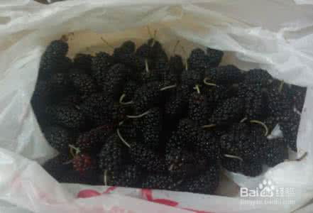 桑葚的功效与作用 桑葚怎么洗 桑葚有什么功效和作用?孕妇可以吃桑葚怎么洗?
