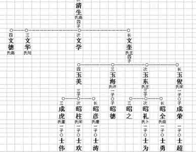 家谱世系图的制作方法 编写世系的基本方法