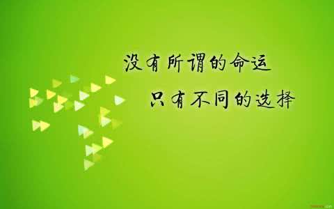 经典语录：要学习向日葵，哪里有阳光就朝向哪里