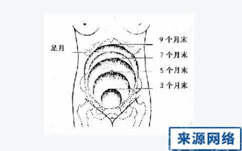 宫高怎么量图解 宫高怎么量