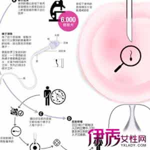 卵泡不破的原因 卵泡不破的原因？主要有以下三项