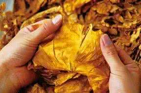 大妈吃蜈蚣治痔疮身亡 患痔疮十几年了,邻居大妈的一个偏方治好了。