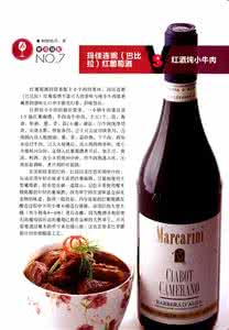 法国蓝带葡萄酒宝典 葡萄酒初学者购酒宝典之法国酒选购