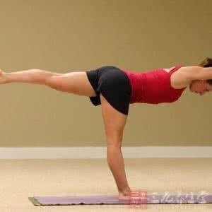 初练瑜伽的基本动作 练瑜伽能减肥吗 练瑜伽有哪些减肥动作