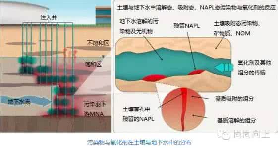 土壤化学性质 土壤化学性质分析