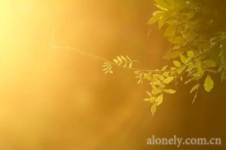 在我生命中的每一天 以努力的姿态，过好生命中的每一天