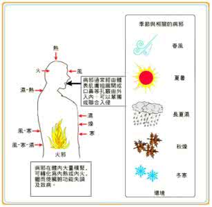 七情六欲指的是什么 六淫