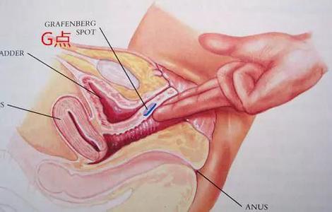 G点刺激：指尖下肉体的战栗：善待自己