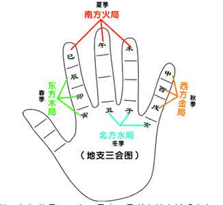 八字天干地支作用关系 易海莲华——八字基础（地支的关系——寅，卯）