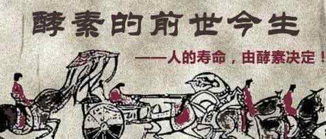 喝酵素拉肚子怎么回事 酵素做起来就是这么简单的事