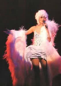 陈百强最后一场演唱会 梅艳芳最后一场演唱会 【梅艳芳最后演唱会】梅艳芳简介