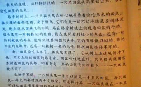 形容功绩的成语 受用无比的鼓励语，成就功绩的句子