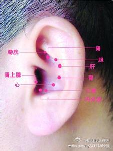 沈肯尼生气boss着急 易生气着急按压耳穴肝
