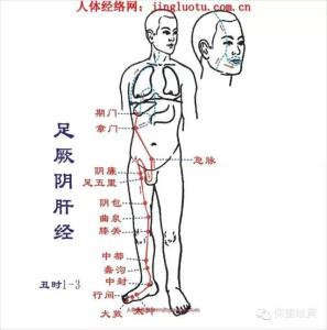 人体12经络 + 穴位 图，自学中医、自我诊疗必备！