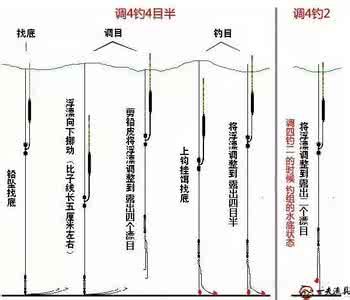 初春钓鲫鱼怎么调漂 初春钓鲫鱼的选位、调漂心得（附酒米配方）