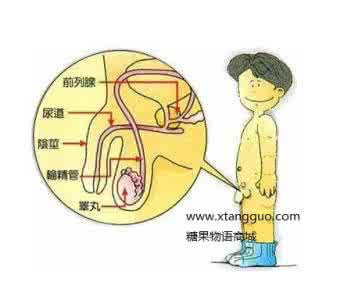 青少年促进阴茎发育 通常情况青少年如何增长阴茎