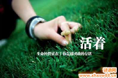 吃斋念佛能改变命运吗 改变命运的人生哲理 >> 千万别吃烂水果